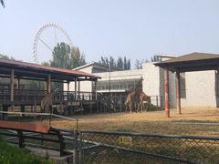 -石家庄市动物园