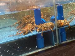 -阿伟海鲜楼·福建菜(延寿店)