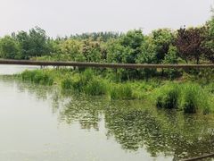 -东郊湿地公园