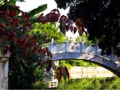 环境-小洲村