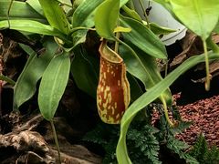 -石家庄市植物园
