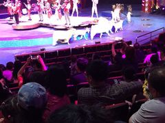 -珠海横琴长隆《卡卡虎奇遇记》