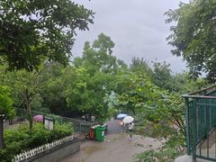 -大蜀山国家森林公园