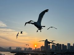 -星海广场