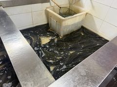 -都江堰石锅鱼