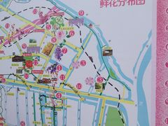 -合肥滨湖国家森林公园