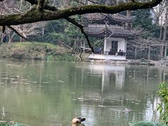 -杭州植物园