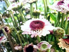景观位-默迹咖啡馆