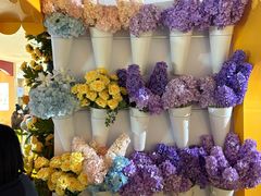 -寰映影城(朝阳合生汇杜比影院店)