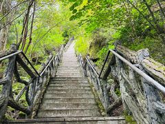 -汤旺河林海奇石景区