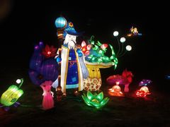 -大塘金香草谷