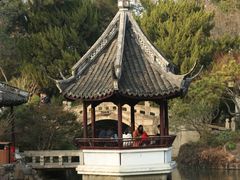 -上海醉白池公园