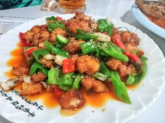 -煲来饱去冷水鱼