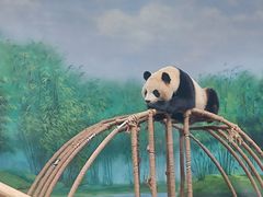 -杭州动物园