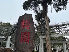 -无锡梅园公园