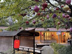 -老灶房-四川土菜(铁牛广场店)