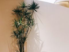 -Tims天好咖啡(江干万象城店)