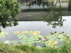 -西湖国宾馆·紫薇厅