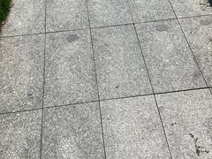 -昇记肠粉王(福华路店)