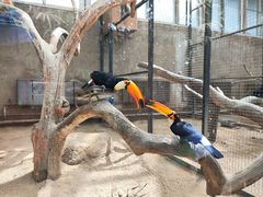 -大连森林动物园