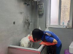 -宠福鑫康馨动物医院·骨科·眼科