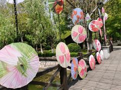 -上海鲜花港