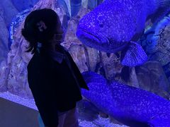 -波塞冬旅游度假区