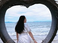 -汕尾风车岛