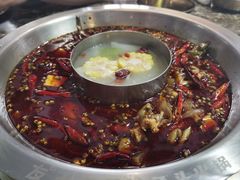 -七友美蛙鱼头火锅(坂田店)