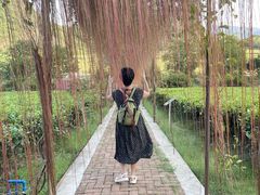 -宝晶宫旅游景区