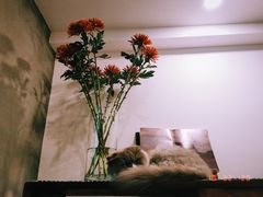 -PUZZLE COFFEE 拼图咖啡