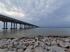 -宝安西湾红树林湿地公园