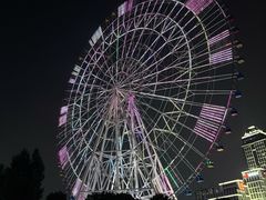 -南昌之星摩天轮