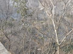 -南山风景名胜区