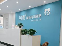 -贝利宠物医院·骨科·眼科·肿瘤转诊中心(南坪诊疗中心)