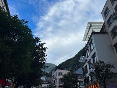 -金鼎雪山牦牛杂火锅(理县总店)