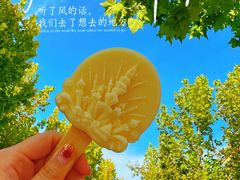 -天津方特欢乐世界