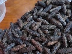 -宫品海参专卖店(静安大宁店)