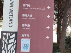 -贡湖湾湿地公园