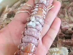 -三旗百汇商品城