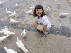 -天津妈祖文化园