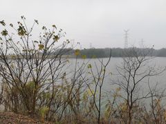 -佛手湖郊野公园