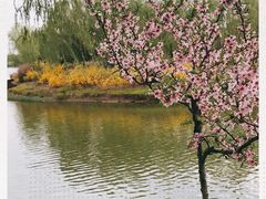 -大兴滨河森林公园