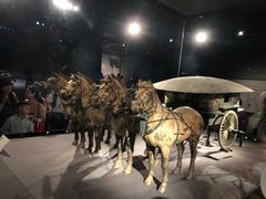 -秦始皇帝陵博物院-丽山园
