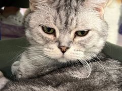 -平行世界·猫咖(首经贸店)