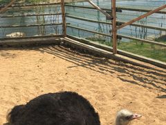 -羊亭河湿地公园