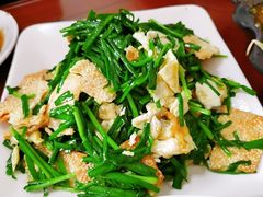 韭菜鸡蛋炒烧饼-大牛馅饼(范阳路店)