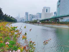 -深圳湾公园(南山区)