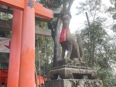 -奈良公园