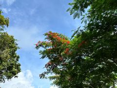 -三亚亚龙湾人间天堂鸟巢度假村